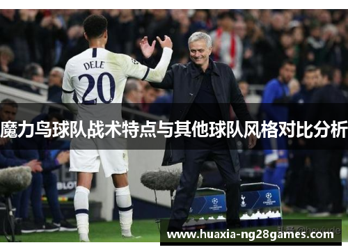 魔力鸟球队战术特点与其他球队风格对比分析 魔力鸟球队战术特点与其他球队风格对比分析