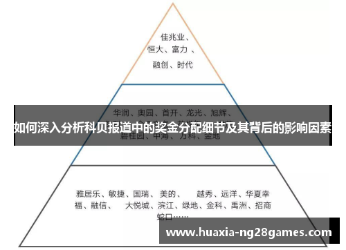 如何深入分析科贝报道中的奖金分配细节及其背后的影响因素